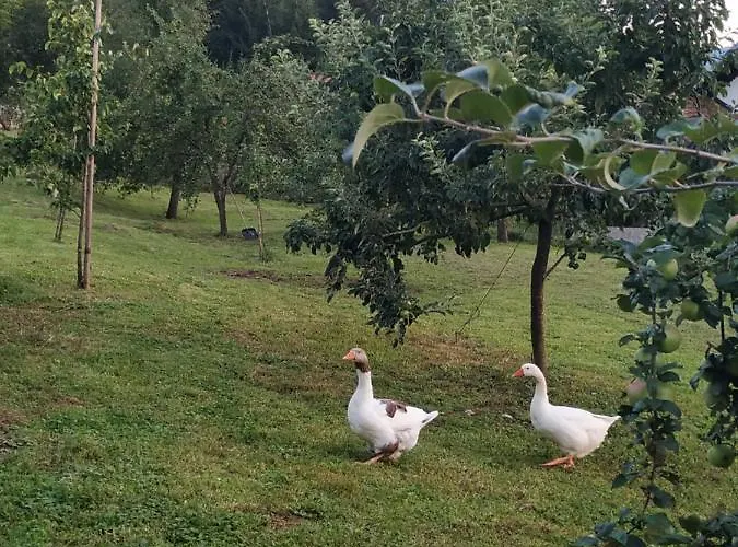 Apartma Eko Kmetija Gerbec *