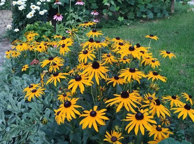 Eko Kmetija Gerbec Apartment *