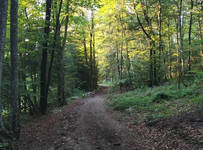 Eko Kmetija Gerbec Apartment